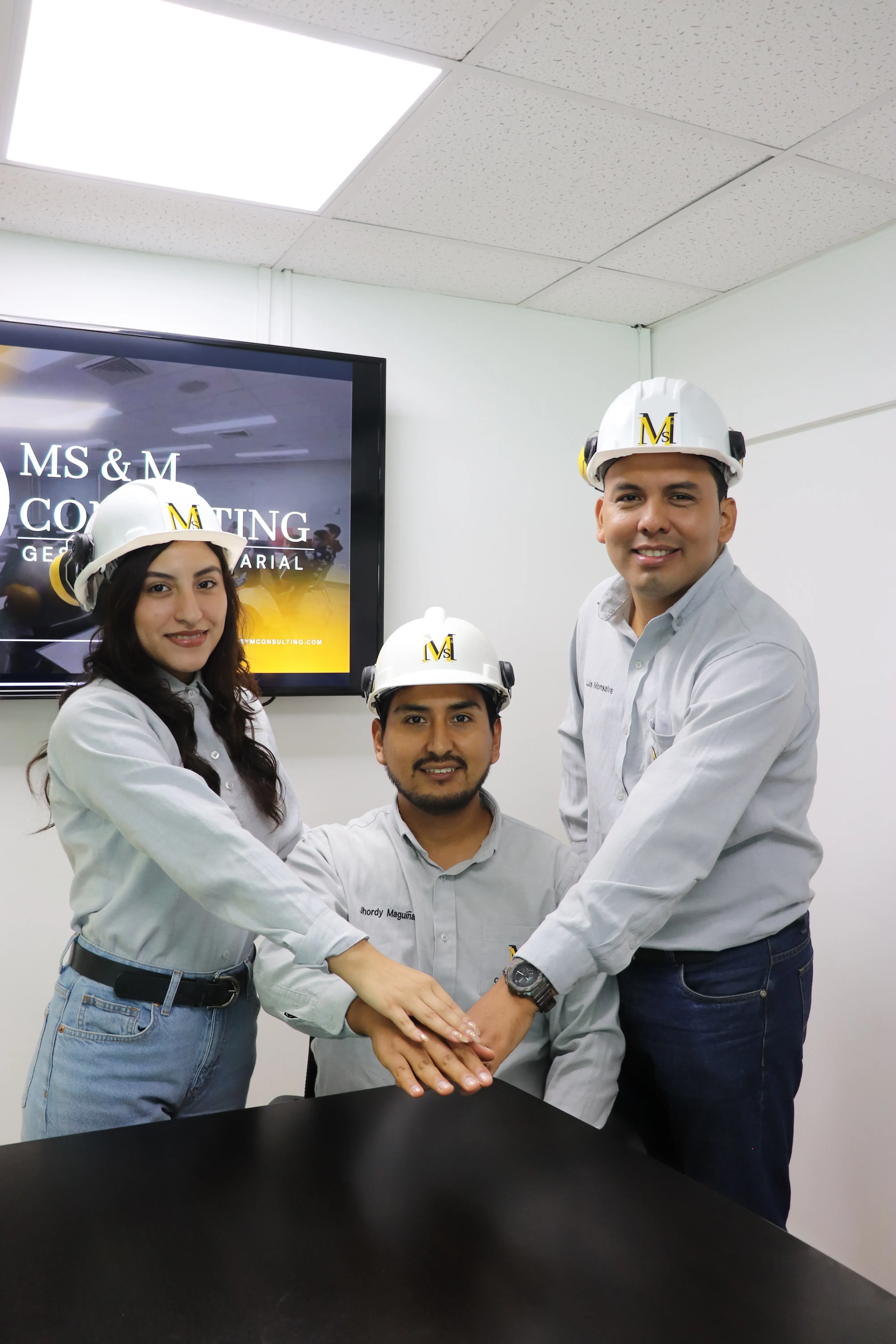 Nuestro Equipo MS&M Consulting